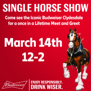 Budweiser Clydesdale Events Canceled as Bud Light Boycott Grows